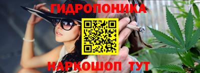 бутират Кингисепп