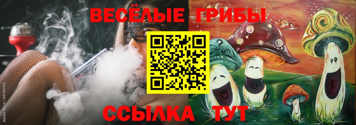 Котовск  Галлюциногенные грибы Cubensis  Вход с VPN 