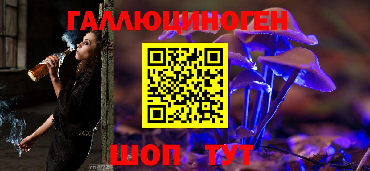 Псилоцибиновые грибы Cubensis Котовск