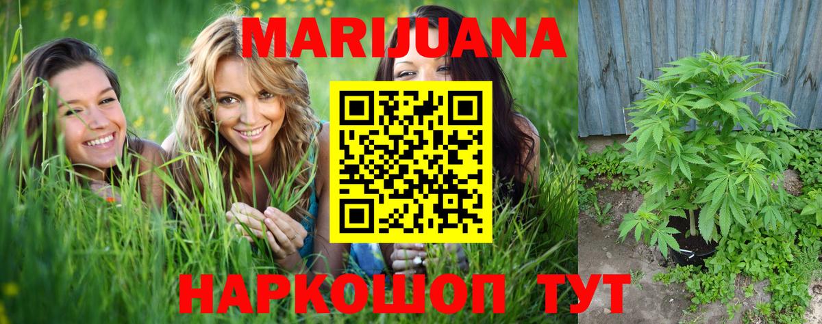 Марихуана OG Kush Котовск